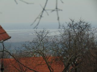 Eladó 1023 m²-estelek Pákozd, Nefelejcs utca: 23'900'000 Ft