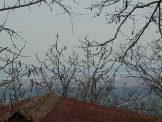 Eladó 1023 m²-estelek Pákozd, Nefelejcs utca: 23'900'000 Ft