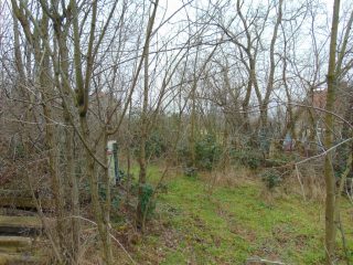 Eladó 1023 m²-estelek Pákozd, Nefelejcs utca: 23'900'000 Ft