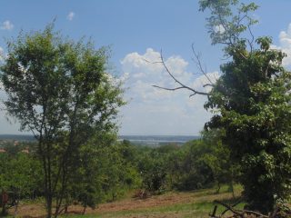 Eladó 1432 m²-estelek Pákozd, Szegfű utca: 12'000'000 Ft