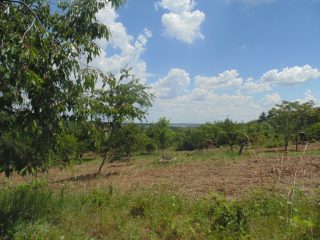 Eladó 1432 m²-estelek Pákozd, Szegfű utca: 12'000'000 Ft