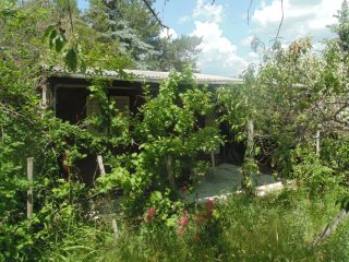 Eladó 1432 m²-estelek Pákozd, Szegfű utca: 12'000'000 Ft