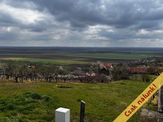 Eladó 1000 m²-estelek Pázmánd, Boros dűlő utca: 14'900'000 Ft