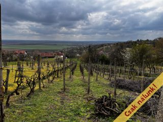 Eladó 1000 m²-estelek Pázmánd, Boros dűlő utca: 14'900'000 Ft