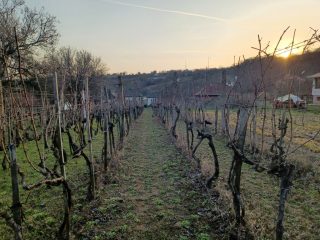 Eladó 12 m²-esüdülő Pázmánd (Pázmánd) , Bágyomi út: 9'000'000 Ft