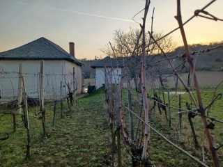 Eladó 12 m²-esüdülő Pázmánd (Pázmánd) , Bágyomi út: 9'000'000 Ft