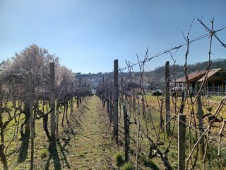 Eladó 12 m²-esüdülő Pázmánd (Pázmánd) , Bágyomi út: 9'000'000 Ft