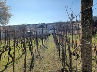 Eladó 12 m²-esüdülő Pázmánd (Pázmánd) , Bágyomi út: 9'000'000 Ft