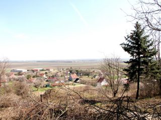 Eladó 1490 m²-estelek Pázmánd, Szőlőhegy utca: 7'499'000 Ft