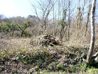 Eladó 1490 m²-estelek Pázmánd, Szőlőhegy utca: 7'499'000 Ft