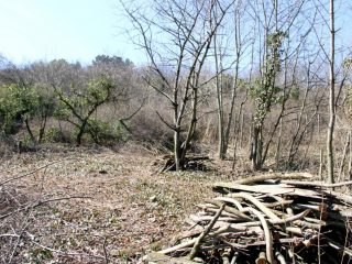 Eladó 1490 m²-estelek Pázmánd, Szőlőhegy utca: 7'499'000 Ft