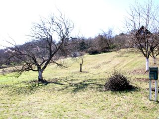 Eladó 1490 m²-estelek Pázmánd, Szőlőhegy utca: 7'499'000 Ft
