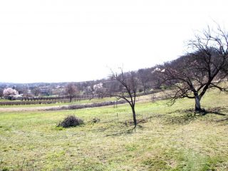 Eladó 1490 m²-estelek Pázmánd, Szőlőhegy utca: 7'499'000 Ft