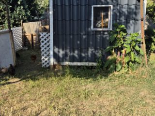 Eladó 75 m²-escsaládi ház Pécel, Maglódi úthoz közeli utca: 78'500'000 Ft