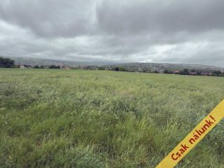 Eladó 6088 m²-estelek Pécel, Városközpont közeli utca: 5'800'000 Ft