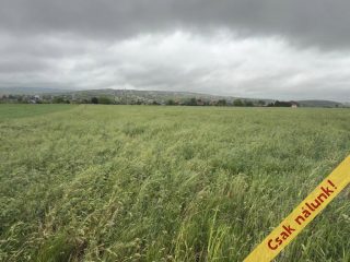 Eladó 6088 m²-estelek Pécel, Városközpont közeli utca: 5'800'000 Ft