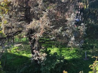 Eladó 180 m²-escsaládi ház Pécs, Magyarürögi út: 47'000'000 Ft