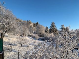 Eladó 180 m²-escsaládi ház Pécs, Szőlő utca: 115'000'000 Ft