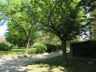 Eladó 85 m²-estársasházi lakás Pétfürdő, Hősök tere: 23'900'000 Ft