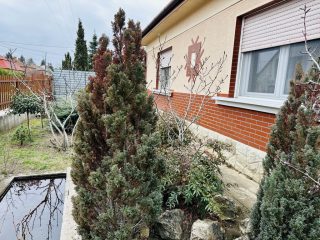 Eladó 100 m²-escsaládi ház Pilis, Központi utca: 69'000'000 Ft