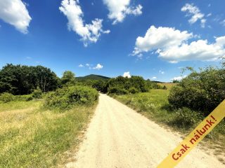 Eladó 1220 m²-esmezőgazdasági ingatlan Pilis, Pilisszentlászló utca: 13'500'000 Ft
