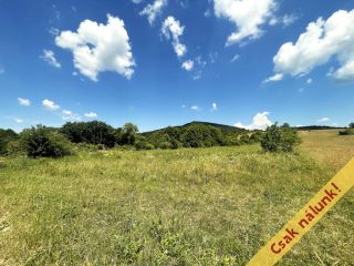 Eladó 1220 m²-esmezőgazdasági ingatlan Pilis, Pilisszentlászló utca: 13'500'000 Ft