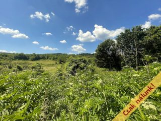 Eladó 1220 m²-esmezőgazdasági ingatlan Pilis, Pilisszentlászló utca: 13'500'000 Ft