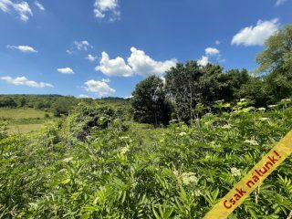 Eladó 1220 m²-esmezőgazdasági ingatlan Pilis, Pilisszentlászló utca: 13'500'000 Ft