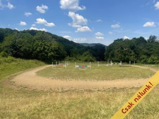 Eladó 1220 m²-esmezőgazdasági ingatlan Pilis, Pilisszentlászló utca: 13'500'000 Ft