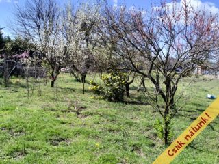 Eladó 52 m²-escsaládi ház Pilis, vasút utca közeli: 35'900'000 Ft