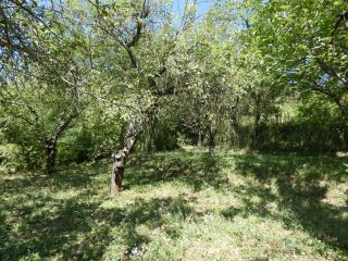 Eladó 860 m²-estelek Pilisborosjenő, Pilisborosjenő: 19'500'000 Ft
