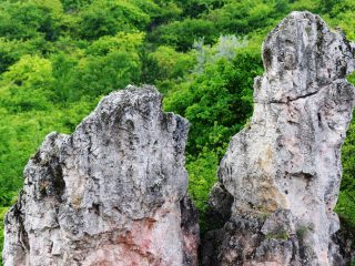 Eladó 860 m²-estelek Pilisborosjenő, Pilisborosjenő: 22'000'000 Ft