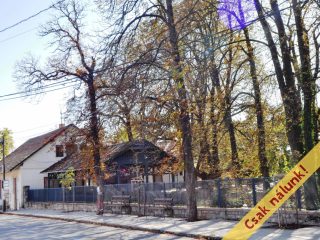 Eladó 260 m²-esvendéglátó egység utcai bejárattal Piliscsaba, ELADÓ - BÉRBEADÓ Vendéglő Piliscsabán: 155'000'000 Ft