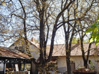 Eladó 260 m²-esvendéglátó egység utcai bejárattal Piliscsaba, ELADÓ - BÉRBEADÓ Vendéglő Piliscsabán: 155'000'000 Ft