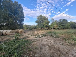 Eladó 28115 m²-estelek Piliscsaba, Vár utca: 90'000'000 Ft