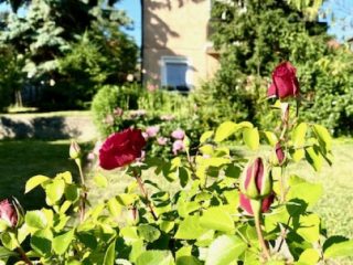 Eladó 184 m²-escsaládi ház Pilisszentiván, Bányász utca: 187'900'000 Ft