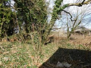 Eladó 359 m²-escsaládi ház Pusztakovácsi, Központ: 56'000'000 Ft