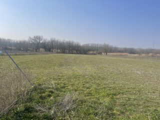 Eladó 4141 m²-estelek Ráckeresztúr (Ráckeresztúr) , Központi utca: 48'000'000 Ft