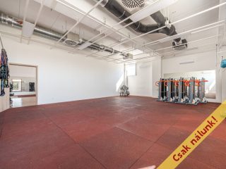 Eladó 302 m²-esüzlethelyiség utcai bejárattal Ráckeve, Bercsényi utca: 179'800'000 Ft