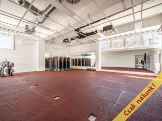 Eladó 302 m²-esüzlethelyiség utcai bejárattal Ráckeve, Bercsényi utca: 179'800'000 Ft