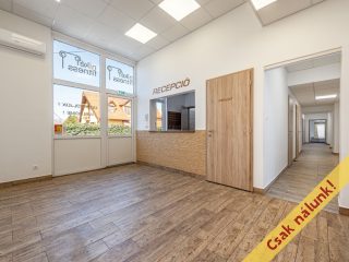 Eladó 302 m²-esüzlethelyiség utcai bejárattal Ráckeve, Bercsényi utca: 179'800'000 Ft