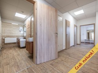 Eladó 302 m²-esüzlethelyiség utcai bejárattal Ráckeve, Bercsényi utca: 179'800'000 Ft