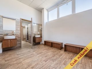Eladó 302 m²-esüzlethelyiség utcai bejárattal Ráckeve, Bercsényi utca: 179'800'000 Ft