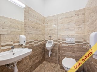 Eladó 302 m²-esüzlethelyiség utcai bejárattal Ráckeve, Bercsényi utca: 179'800'000 Ft
