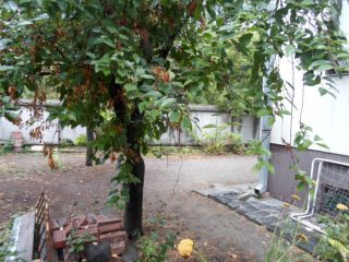 Eladó 240 m²-escsaládi ház Ráckeve, Duna közeli utca: 110'000'000 Ft