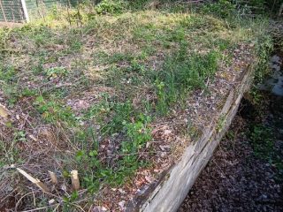 Eladó 444 m²-estelek Ráckeve, Kiscsatorna utca: 22'000'000 Ft