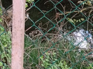 Eladó 444 m²-estelek Ráckeve, Kiscsatorna utca: 22'000'000 Ft