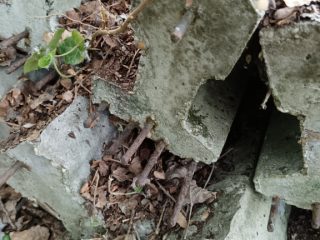 Eladó 444 m²-estelek Ráckeve, Kiscsatorna utca: 22'000'000 Ft