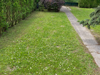 Eladó 30 m²-esüdülő Ráckeve, Kisdunai köz: 23'900'000 Ft