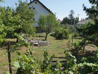 Eladó 100 m²-escsaládi ház Ráckeve, Penny mögött utca: 49'000'000 Ft